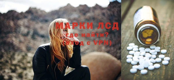 индика Алексин