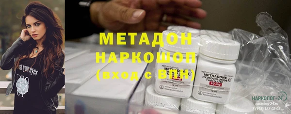 индика Алексин