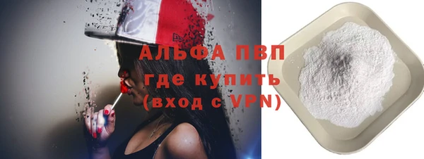индика Алексин