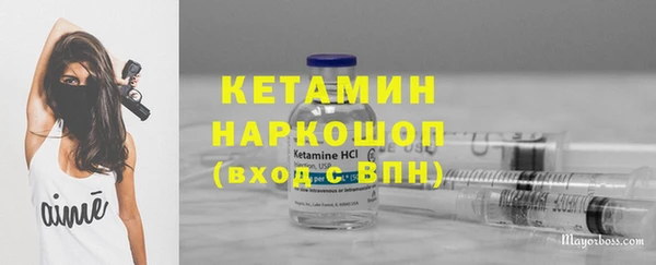 индика Алексин