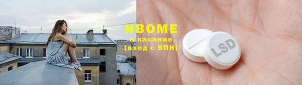 индика Алексин