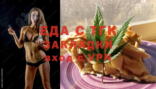 индика Алексин