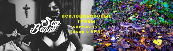 альфа пвп Нязепетровск