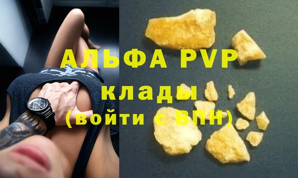 ECSTASY Алзамай