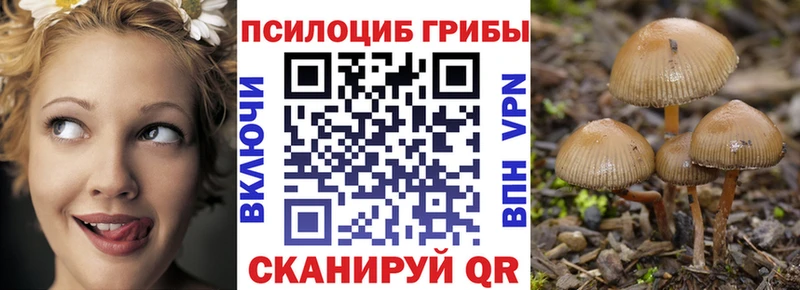 Псилоцибиновые грибы Cubensis  Куса 